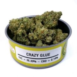 buy Crazy Glue online
