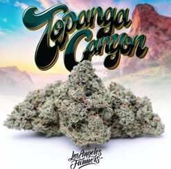 Buy Jungle Boys Topanga Canyon Online