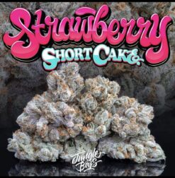 Buy Jungle Boys Strawberry Shortcake Online